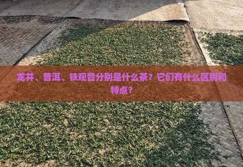 龙井普洱铁观音什么意思