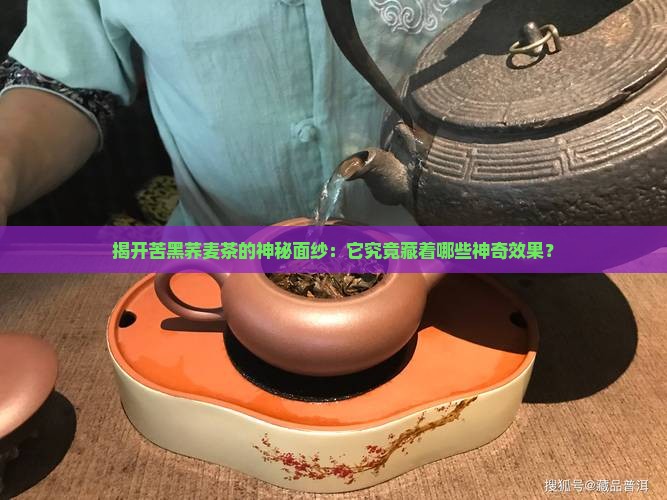 苦黑荞麦茶的功效与作用