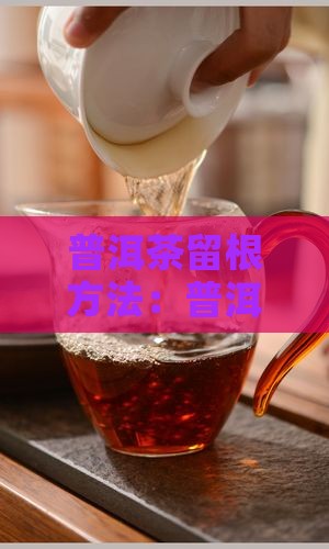 普洱茶怎么留根