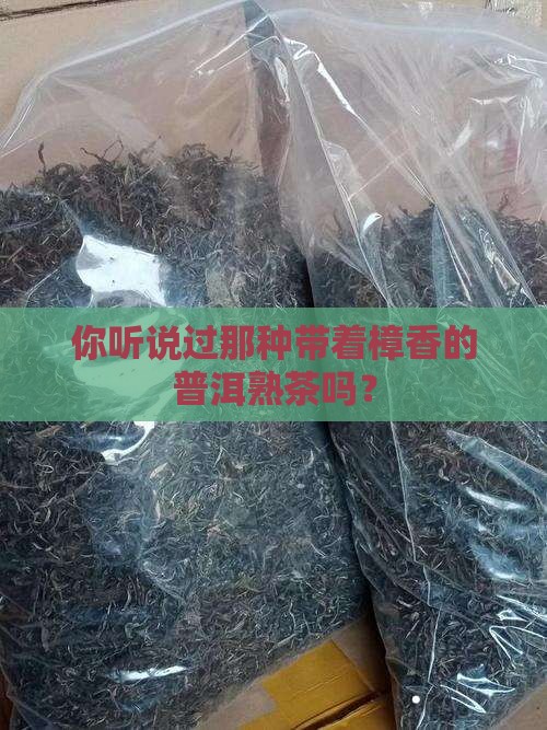什么是樟香普洱茶熟茶