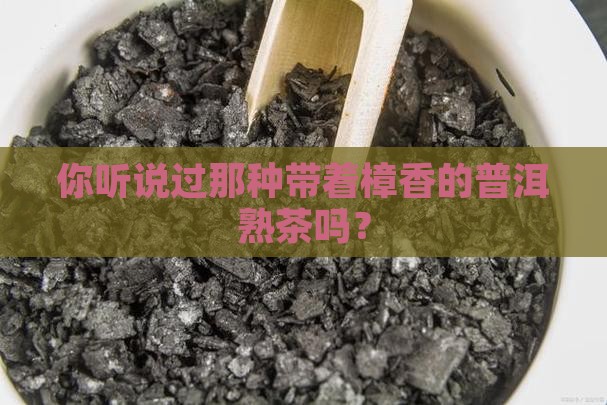 什么是樟香普洱茶熟茶