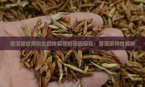喝普洱茶有炸裂感怎么回事