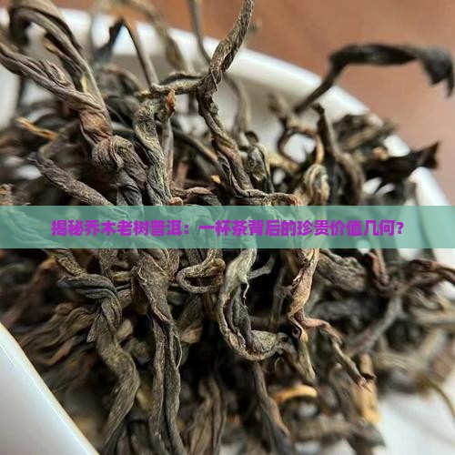 乔木老树普洱茶价格多少