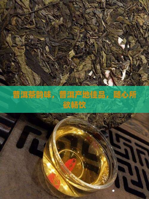 好的普洱茶想喝就喝
