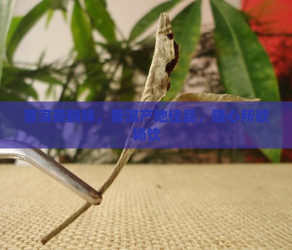好的普洱茶想喝就喝