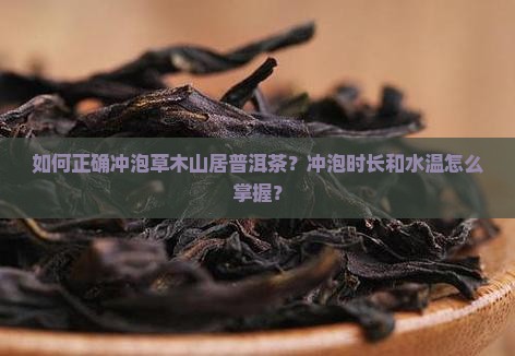 草木山居普洱茶怎么样冲泡