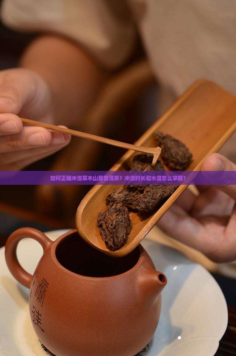草木山居普洱茶怎么样冲泡