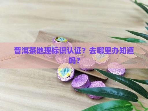 普洱茶地理标识认证去哪办