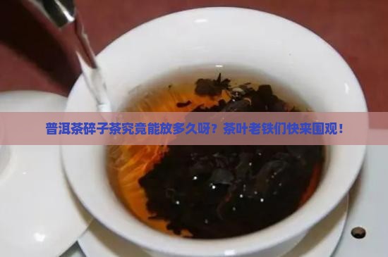 普洱茶碎子茶能保存多少年