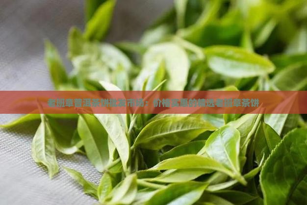 老班章饼茶架子
