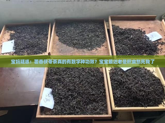 藿香茯苓茶的功效