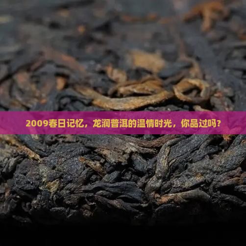 龙润普洱茶2009年春晖