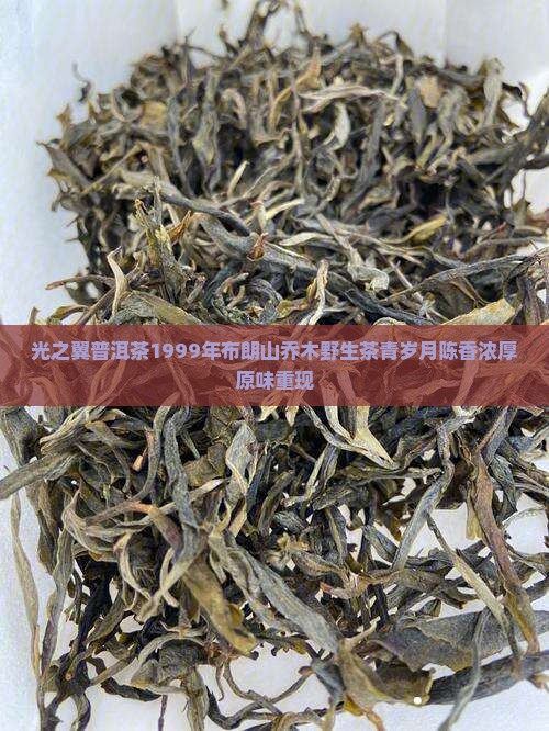 光之翼普洱茶1999