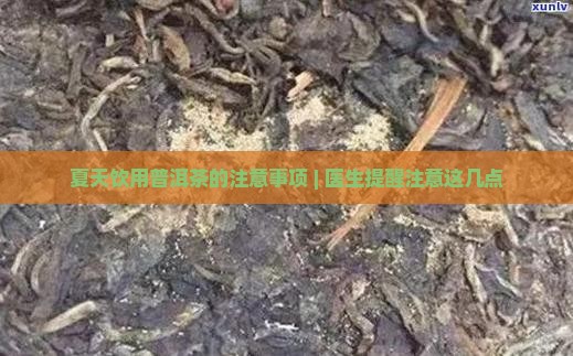 夏天喝普洱茶注意事项有哪些