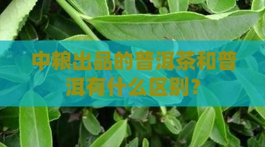 中粮出品普洱茶好吗 中粮出品普洱茶好吗