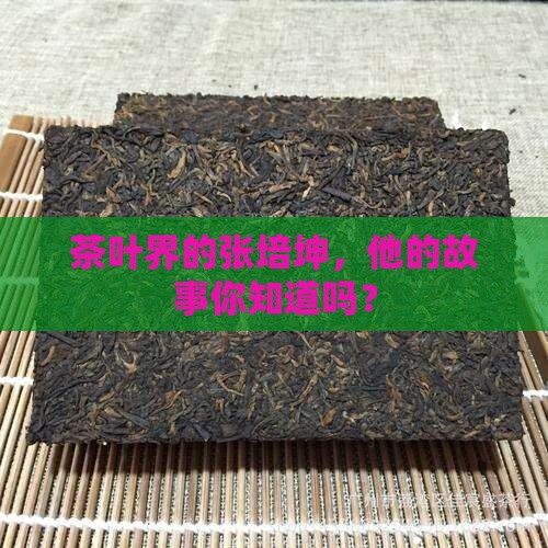 涵盖茶叶张培坤 涵盖茶叶张培坤