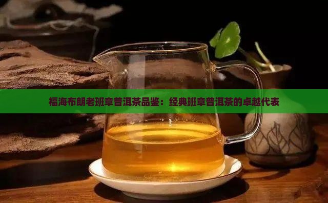 福海布朗山老班章 福海布朗山老班章