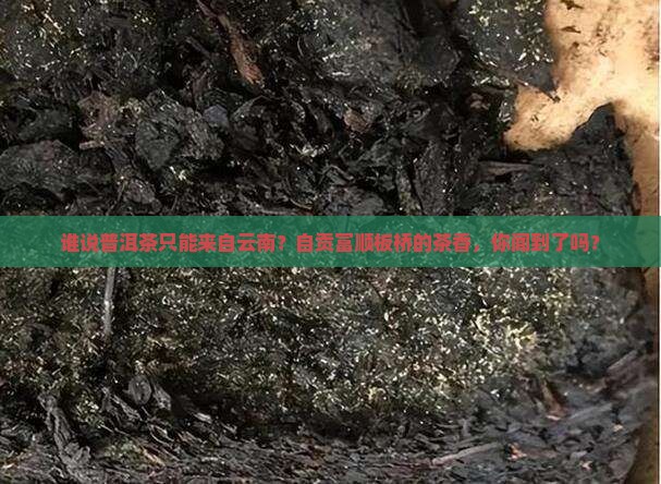 自贡富顺板桥的普洱茶 自贡富顺板桥的普洱茶