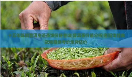 15年普洱茶饼值多少钱一饼