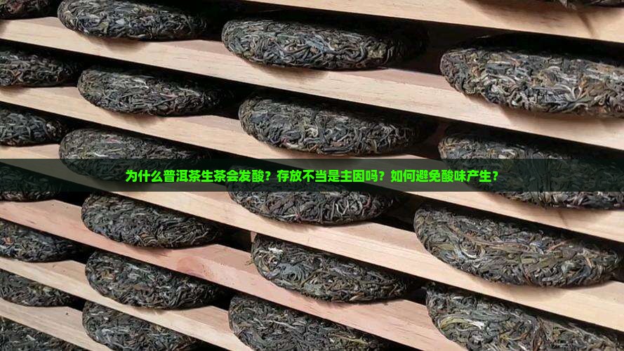 普洱茶生茶为何发酸