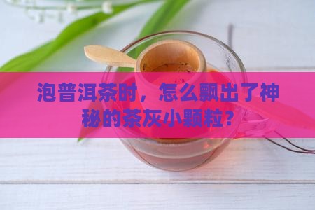 普洱茶冲泡后有像灰尘的东西