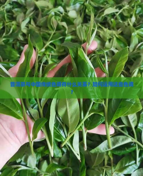普洱茶中国传统色调 普洱茶中国传统色调