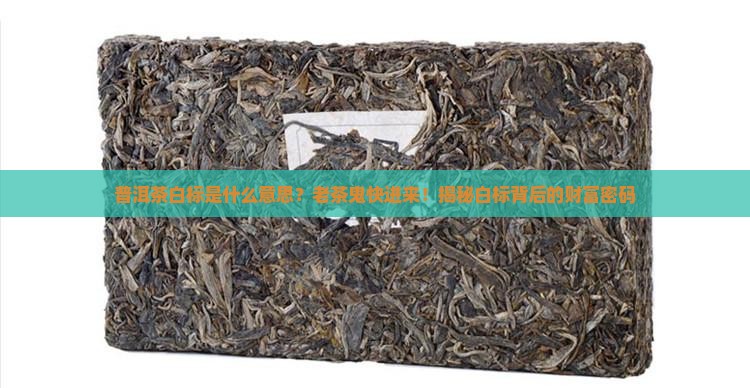 普洱茶白标是什么意思