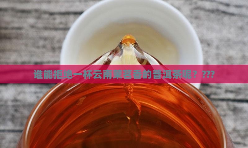 云南茉茗香普洱茶 云南茉茗香普洱茶
