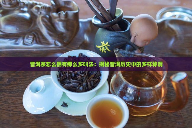 普洱茶怎么那么多叫法