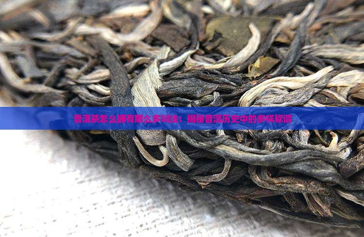 普洱茶怎么那么多叫法