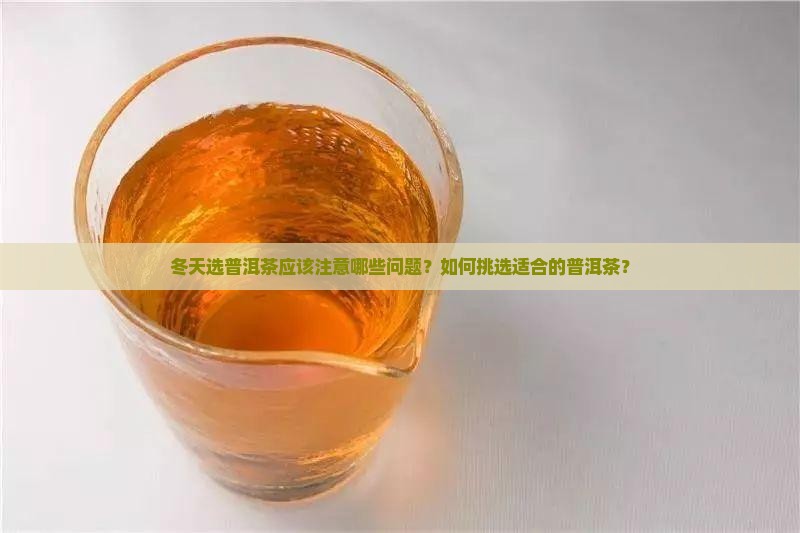 普洱茶冬天怎么选好的