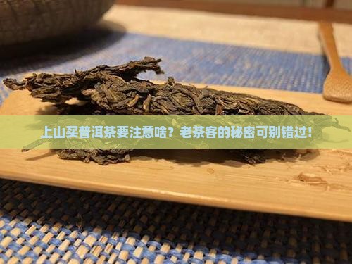 上山购买购普洱茶料注意什么