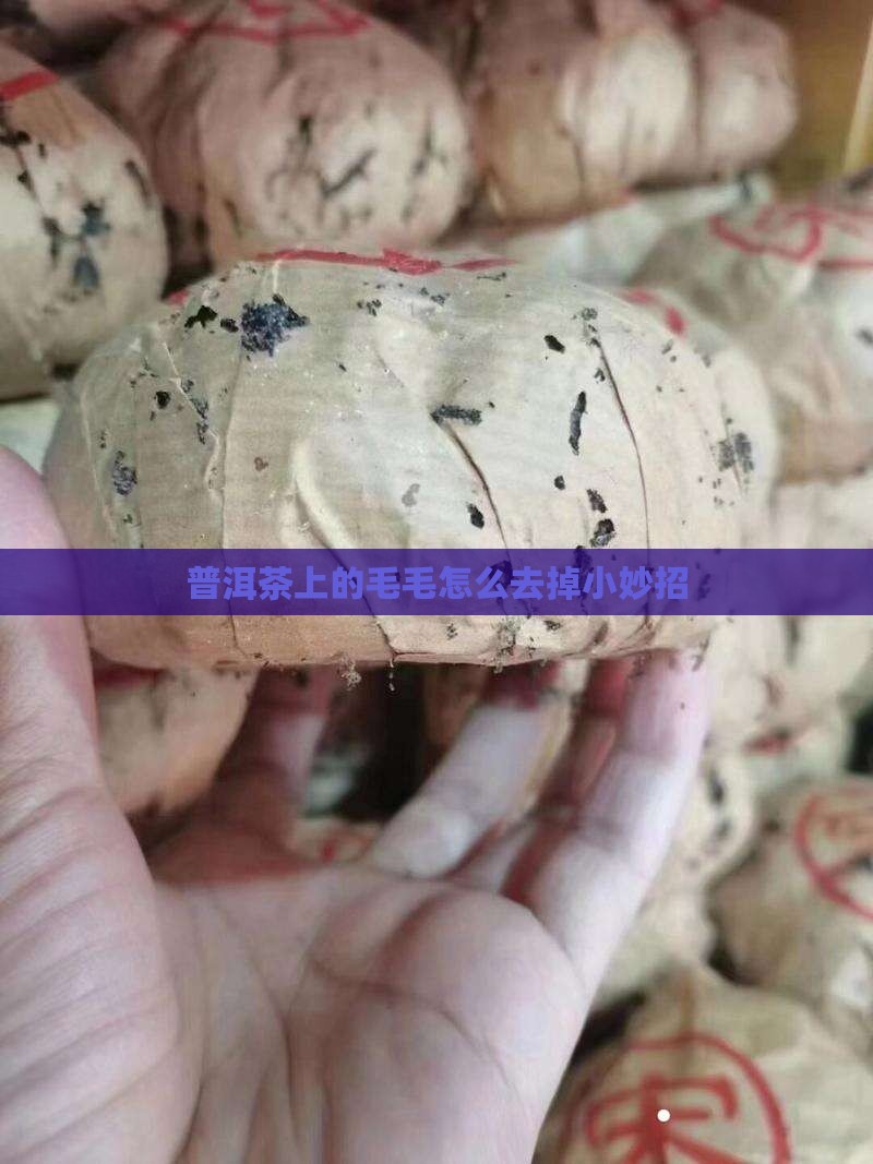 普洱茶上的毛毛怎么去掉