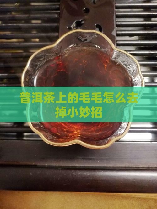 普洱茶上的毛毛怎么去掉