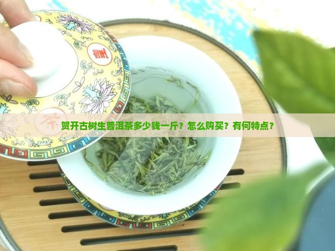 贺开古树生普洱茶