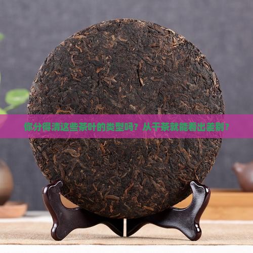 茶叶的类型干茶
