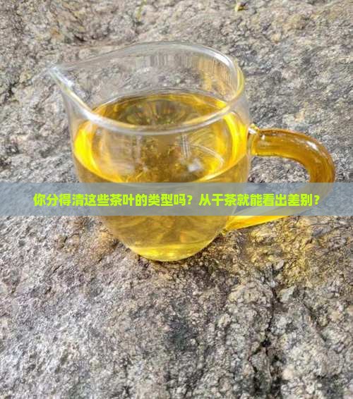 茶叶的类型干茶