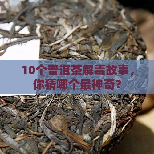 关于普洱茶能解毒的记载