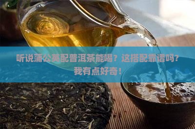 蒲公英配普洱茶能喝吗