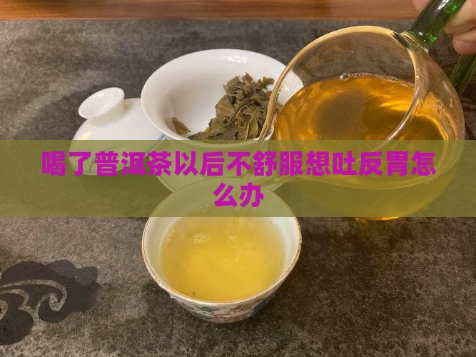 喝了普洱茶以后不舒服