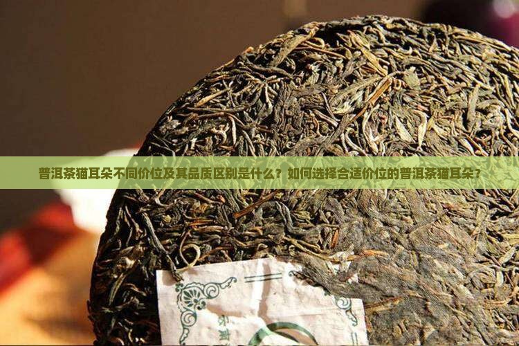 普洱茶猫耳朵什么价位的