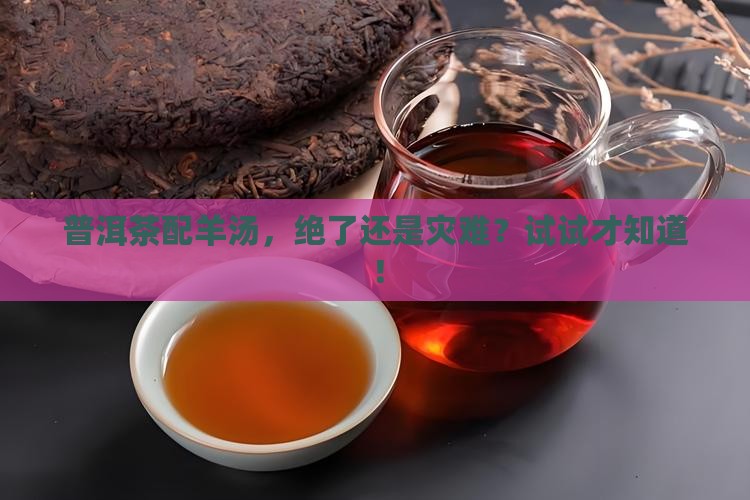 普洱茶能和羊汤一起吃吗