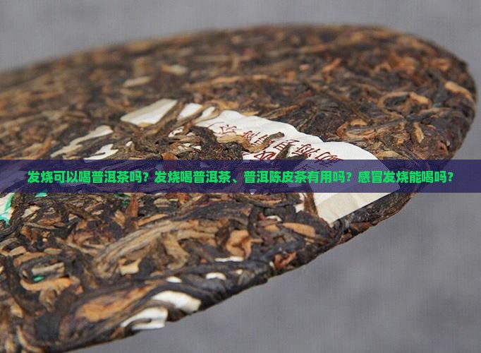 发烧可以喝普洱茶