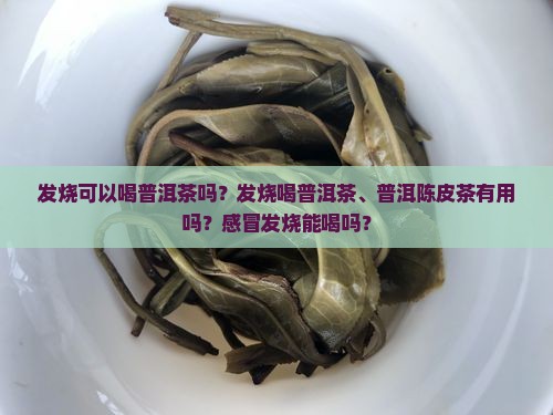 发烧可以喝普洱茶