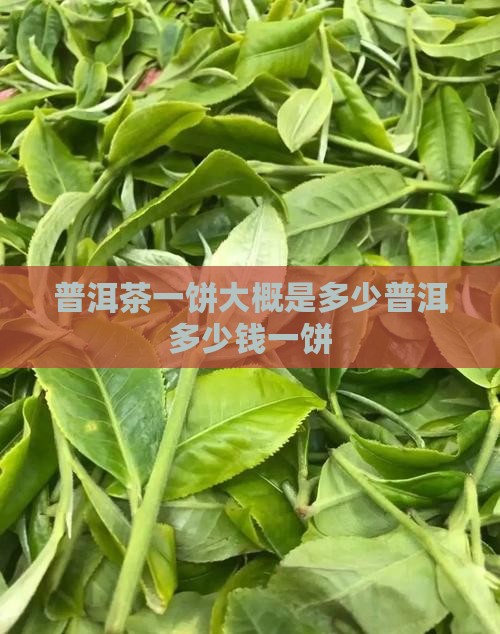 普洱茶二十多一饼