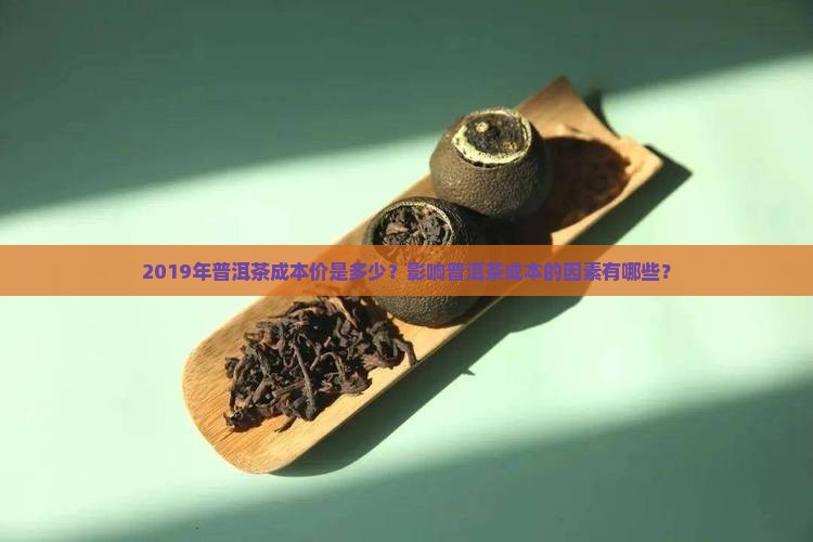 2019年普洱茶成本价