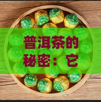 开花一样的普洱茶