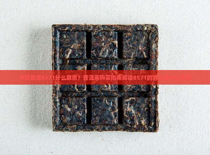 中茶普洱8571什么意思