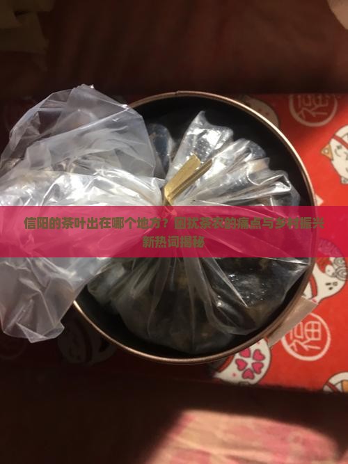 信阳的茶叶出在哪个地方