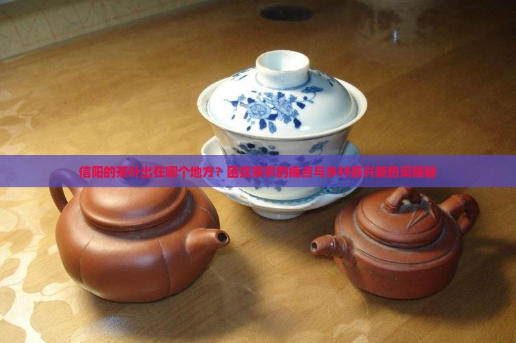 信阳的茶叶出在哪个地方